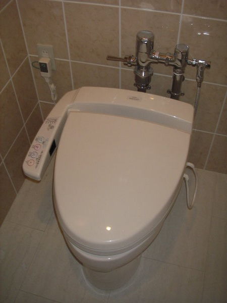 The Japanese Toilet...