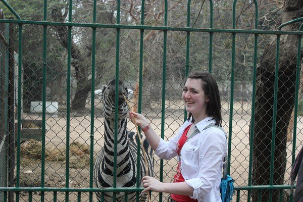 feeding the animals in Giza Zoo