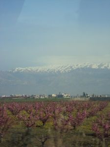 Bekka Valley, Lebanon