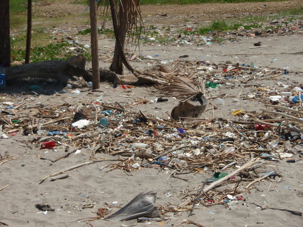 The trash on the beach