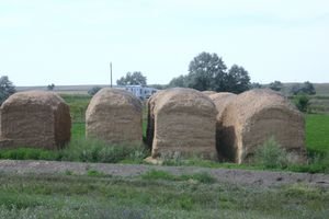 Loaves of Hay