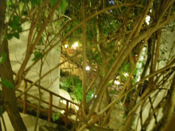 Stairs up to our room - like Swiss Family Robinson 
