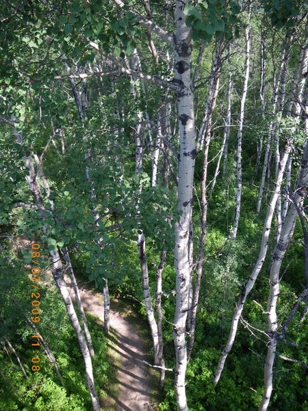 06 View of trail from top of tower