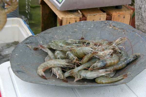 A kilo of fresh shrimp