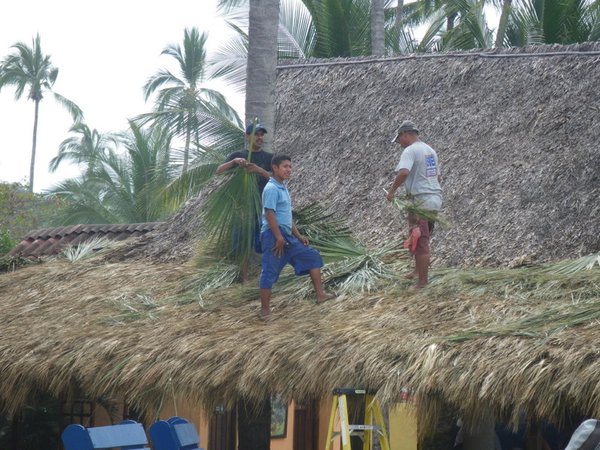 Weaving a new roof