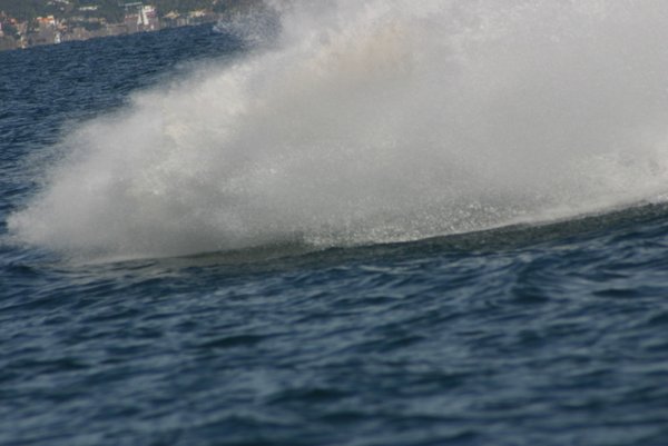Whale splash