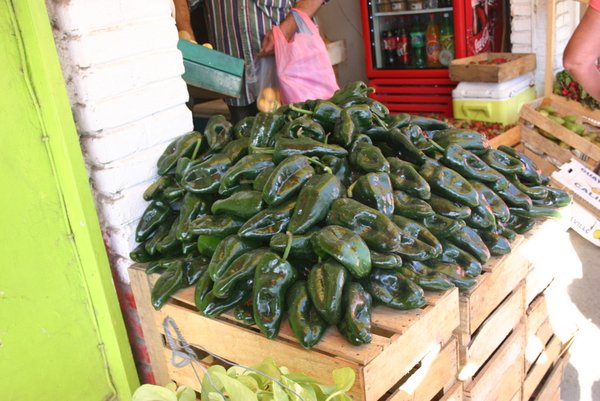 Poblano peppers at the market