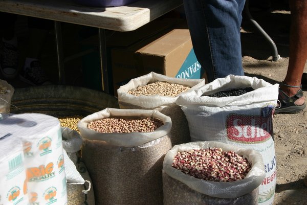Sacks of beans and grains
