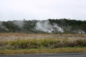Steam vents