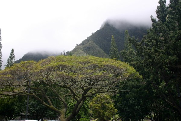 View of Iao Valley peaks