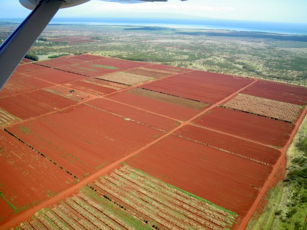 08 Red Dirt farming on Molokai