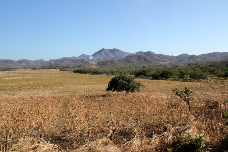 Dry landscape in Guanacaste