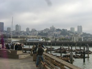Home of the sea lions