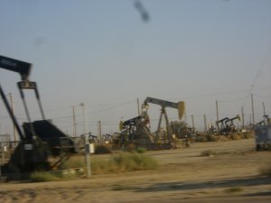 Oil Field!