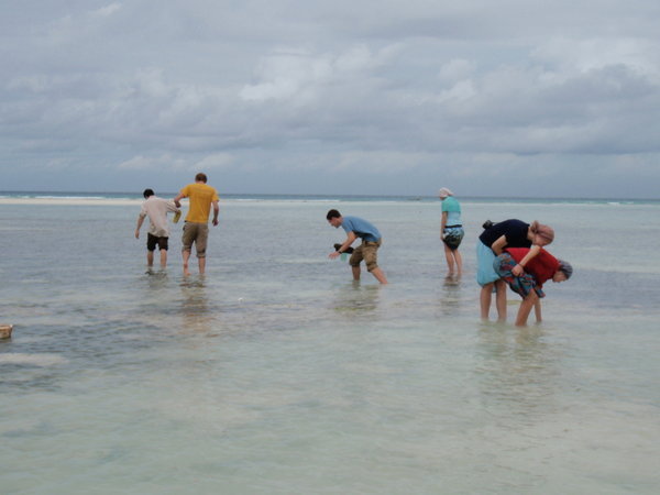 Exploring the reef at low tide
