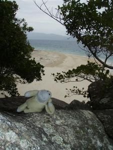 Monkey getting naked at Nudey Beach