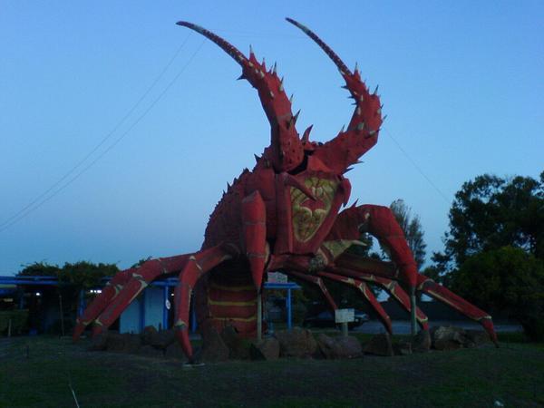 The big lobster
