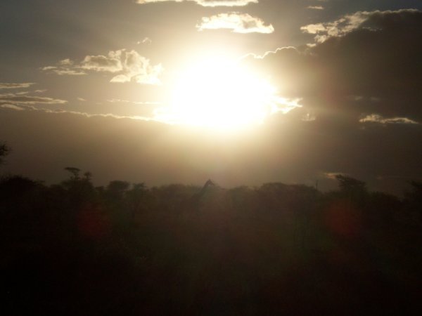 Sunset over the Serengeti