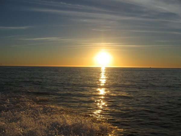 Sunrise as we sailed out to swim with the dolphins