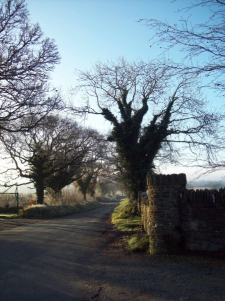 Down An Irish Country Lane
