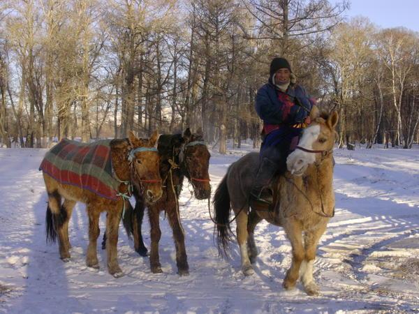 Mongol horseman and his horses