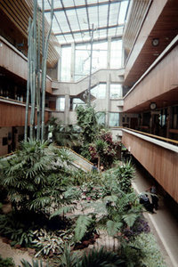 Inside the university