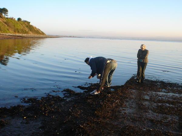 Collecting the mussels