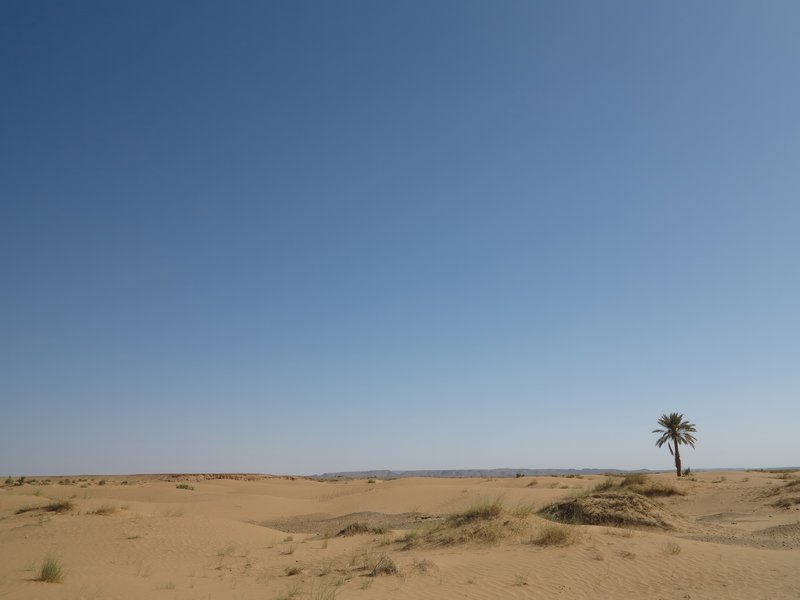 Sandy Sahara