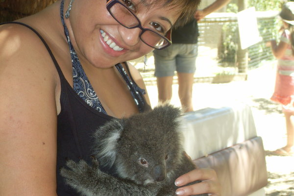 Nelly the baby koala