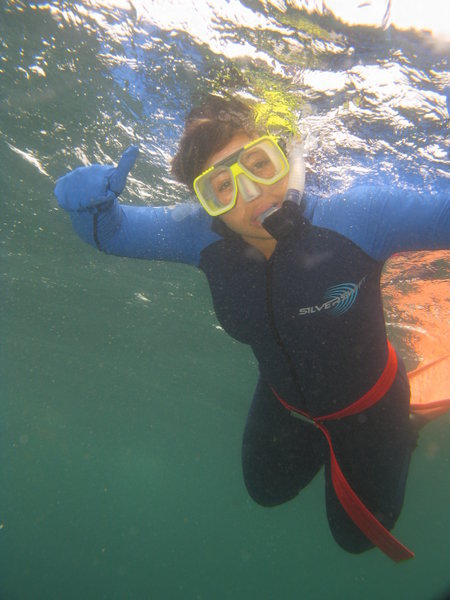Snorkelling in The Great Barrier Reef