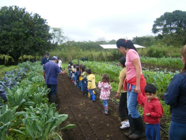 Children at the farm