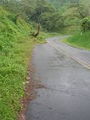 road around lake arenal