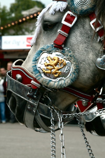 Lead Horse of the Beer Hall