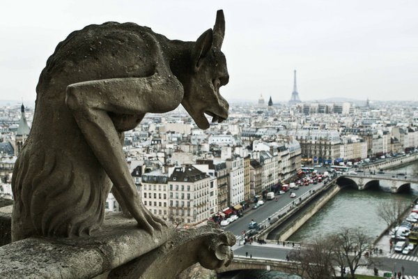 He was watching over Paris from the top of Notre Dame