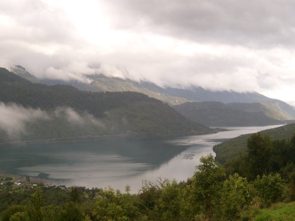Puyuhuapi fjord