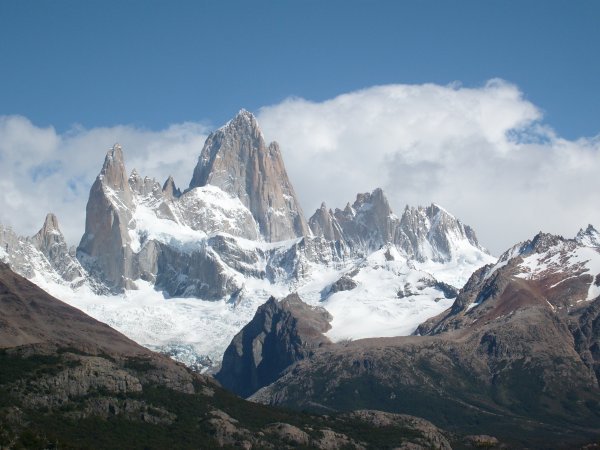 Mr Fitz Roy and friends