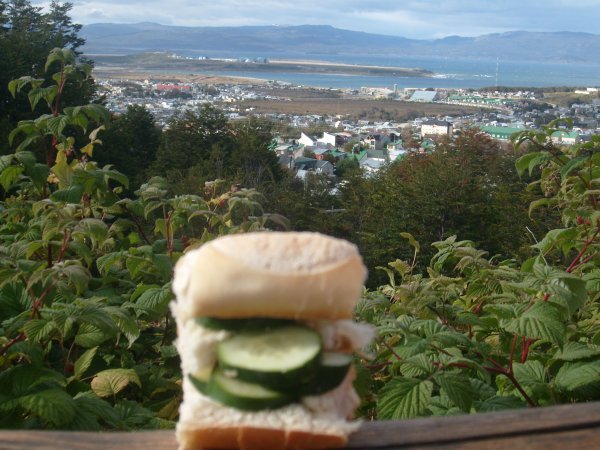 Southermost cucumber sandwich in the world