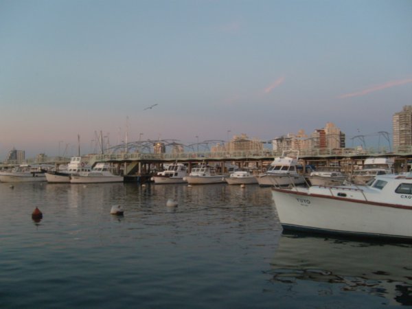 Punta del Este dock