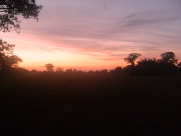 Pantanal sunrise