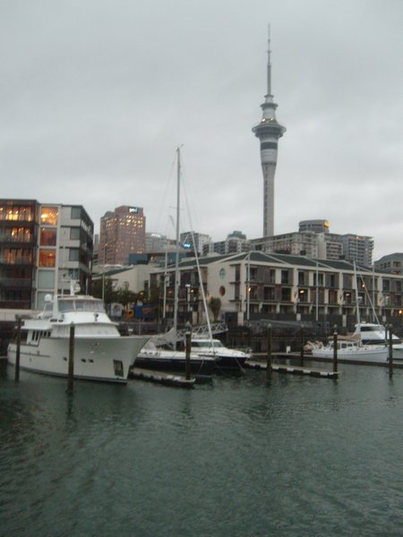Auckland sky tower and harbour