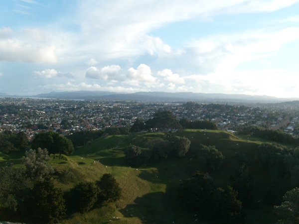 View from One Tree Hill