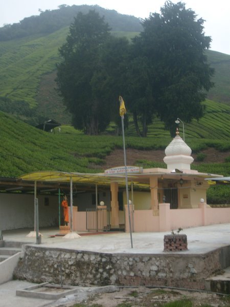 Tea and temples
