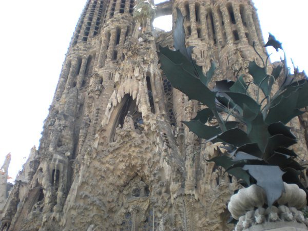 More Sagrada Familia 