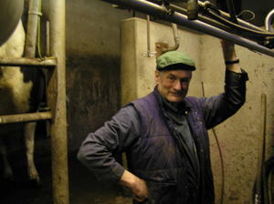 Dad in the milking parlour