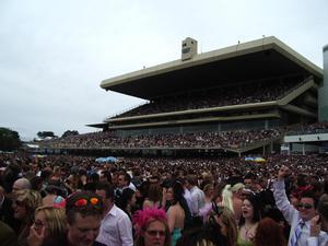 Crowds at the races