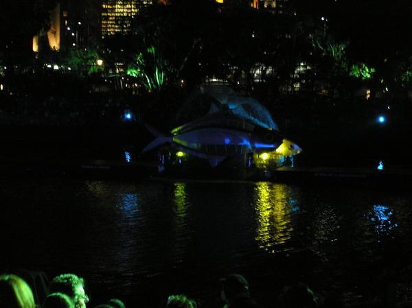 Giant fish on the Yarra