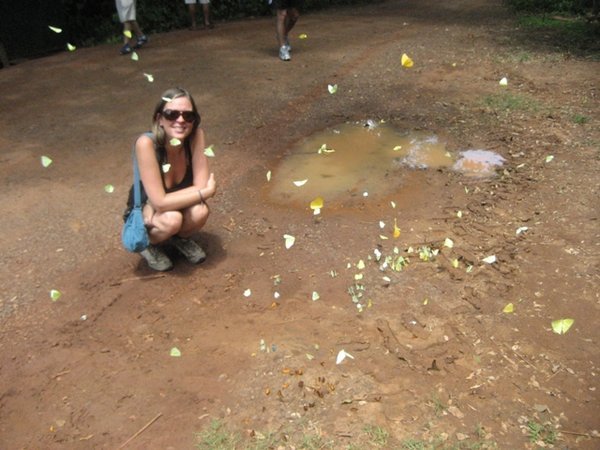 ok, ignore the muddy puddle and look at all the pretty butterflies!