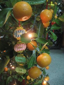 festive orange tree