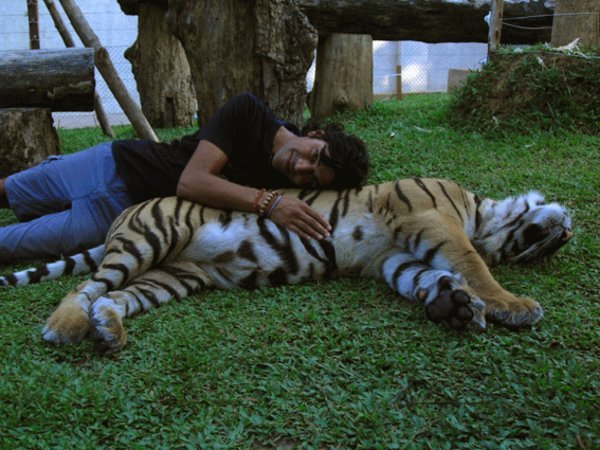Ritch spooning a tiger