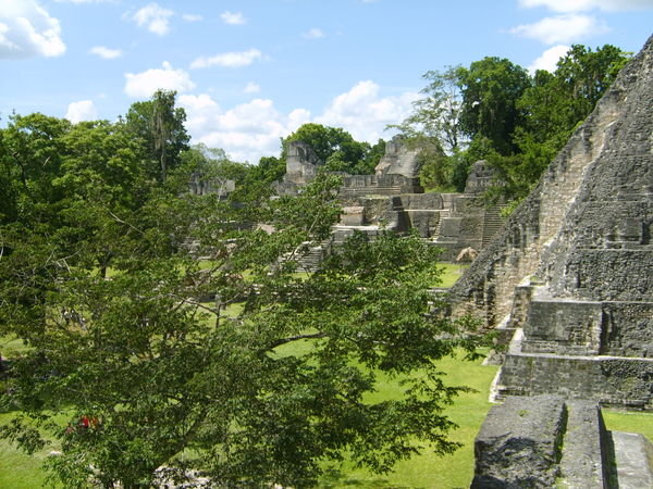 Tikal5